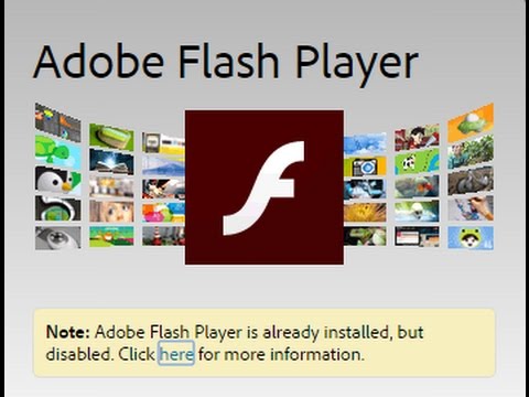Adobe flash player free download 64 bit